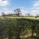 Meadows View Shepherd's Hut *